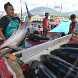 Tingkatkan Ekspor Perikanan, Menteri Perhubungan Akan Maksimalkan Potensi Pelabuhan Bitung