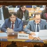 Indonesia dan Denmark Sampaikan Joint-Submission pada Sidang Komite Hukum IMO ke-103
