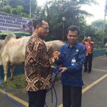 Menhub Budi Karya Serahkan Hewan Kurban untuk Memperingati Hari Raya Idul Adha 1437 H