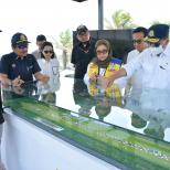 Jelang Groundbreaking, Menhub Cek Lokasi Bakal Bandara IKN